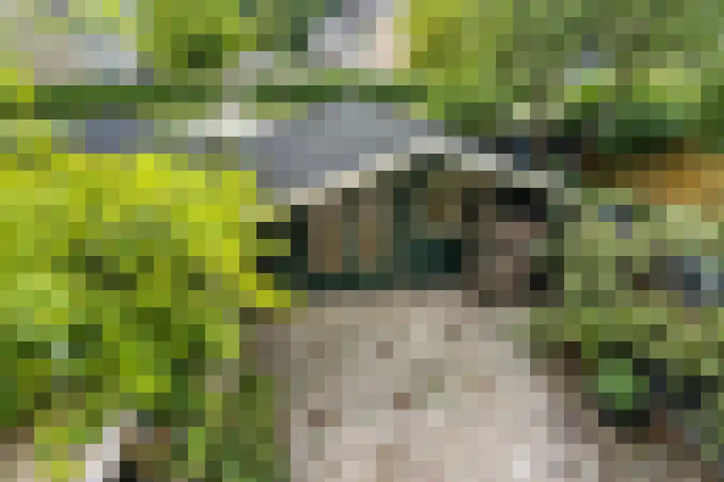 Verdihof 12 Alphen aan den Rijn thumbnail 17