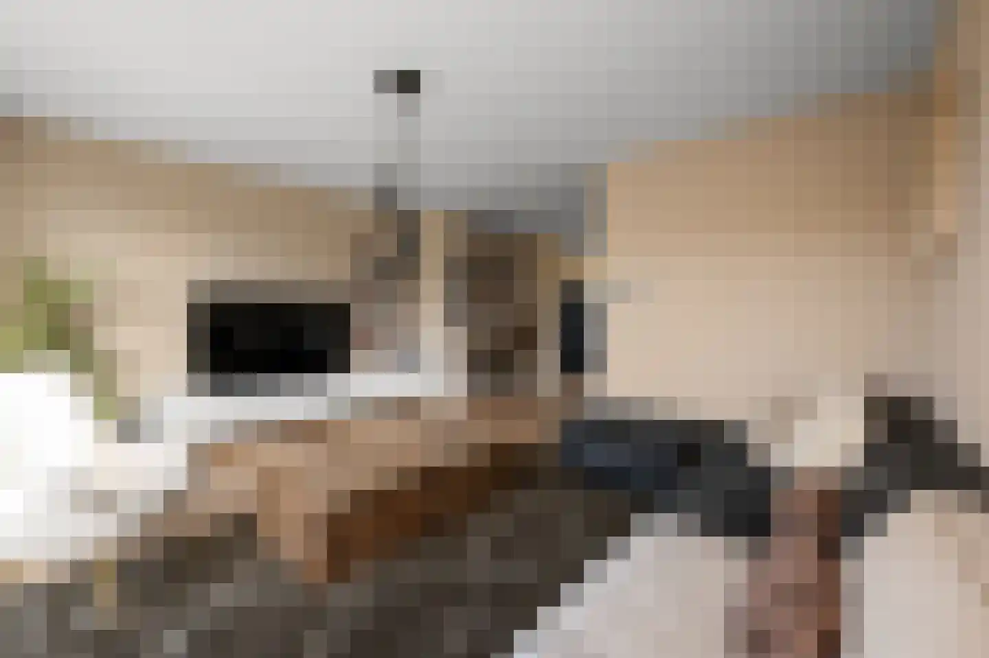 Verdihof 24 Alphen aan den Rijn thumbnail 6