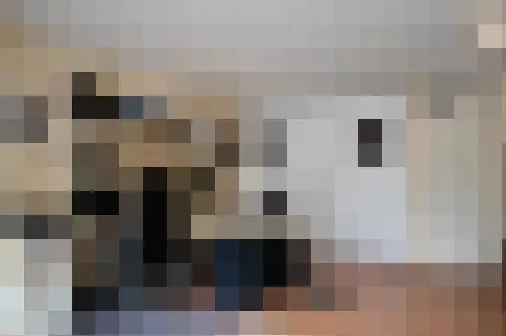 Verdihof 36 Alphen aan den Rijn thumbnail 6