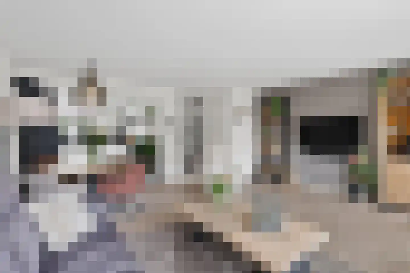 Verdilaan 108 Monster thumbnail 11