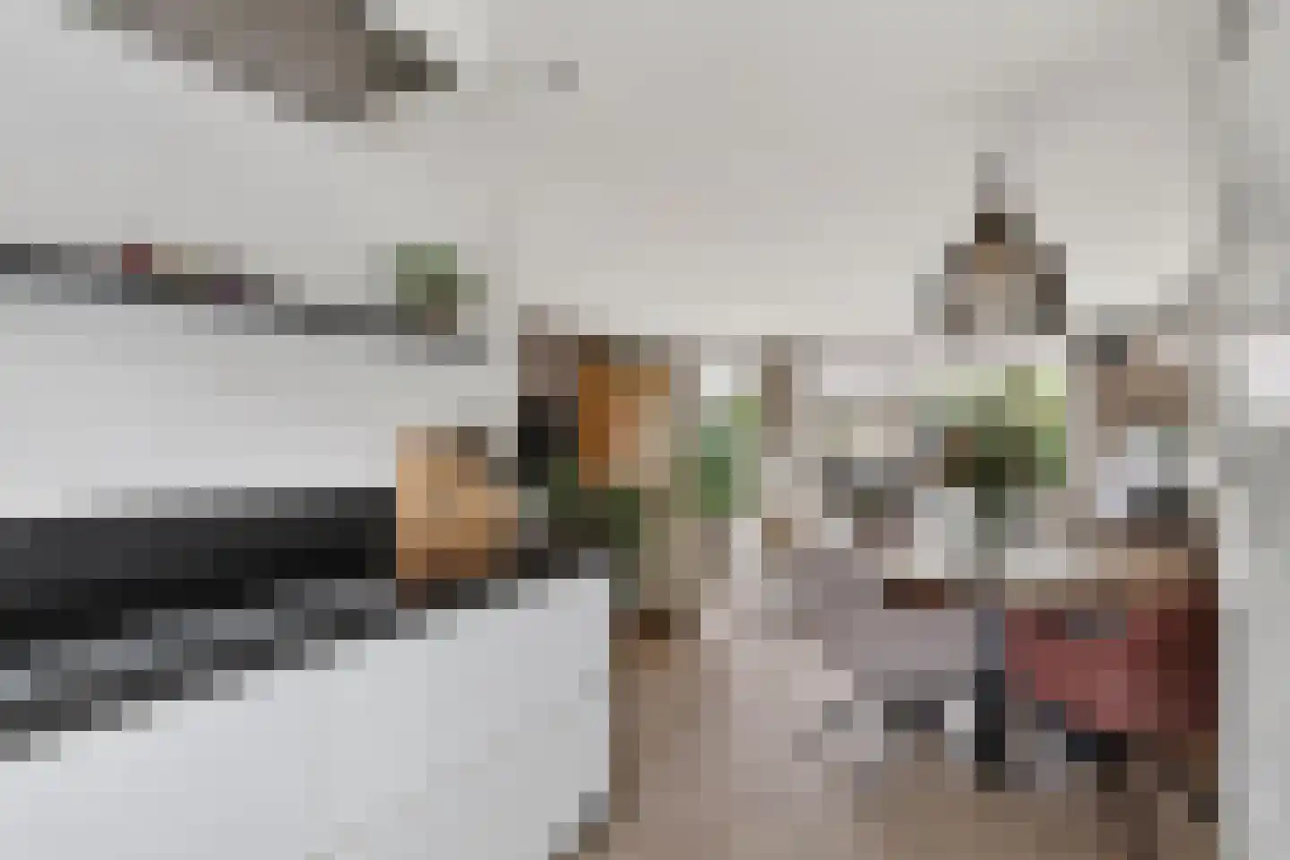 Verdilaan 108 Monster thumbnail 14