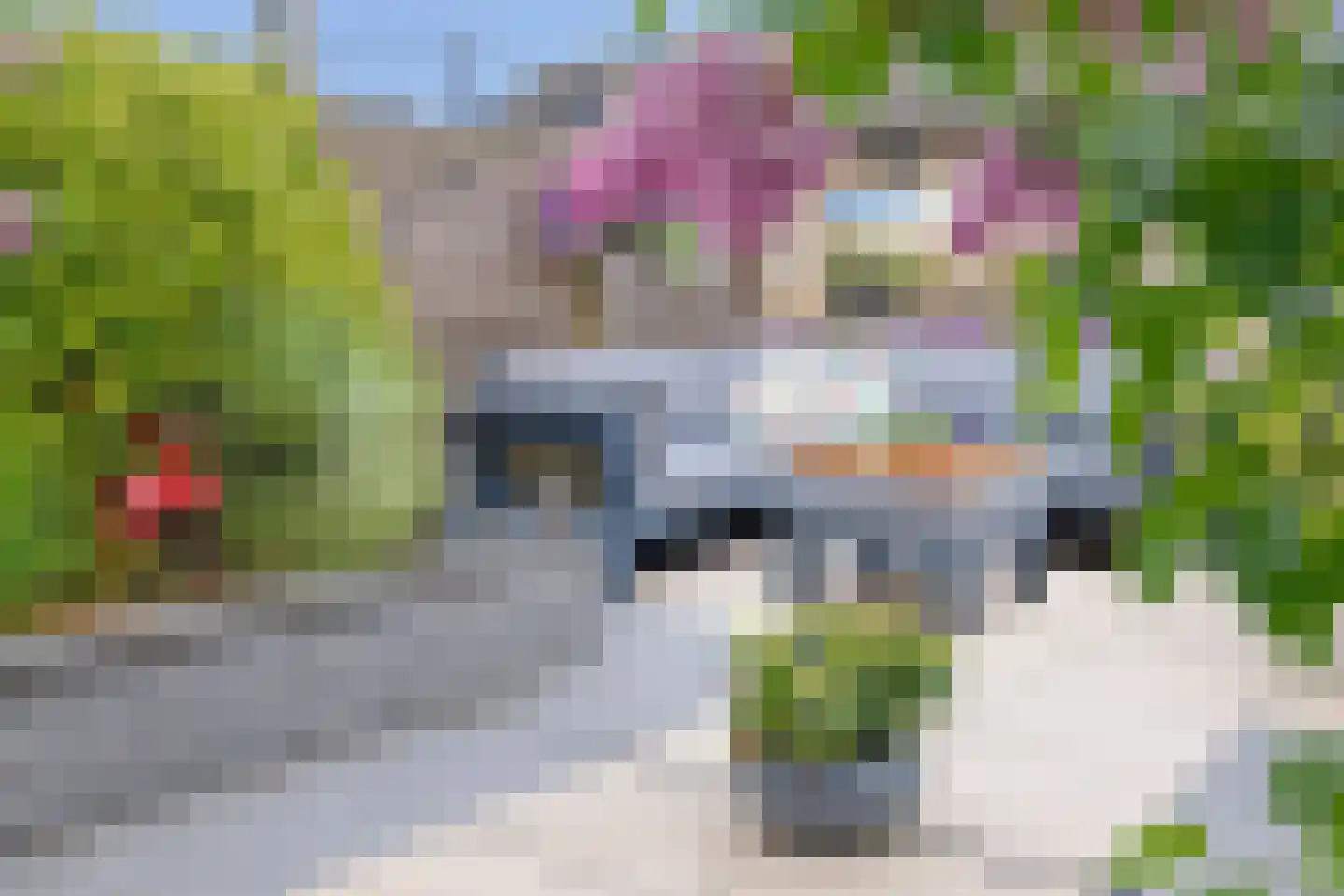 Verdilaan 108 Monster thumbnail 20