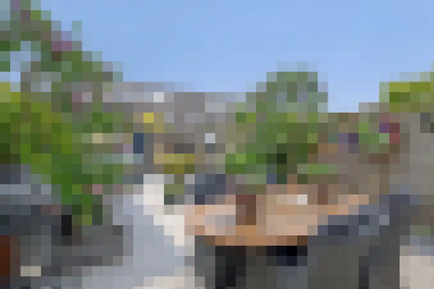 Verdilaan 108 Monster thumbnail 22