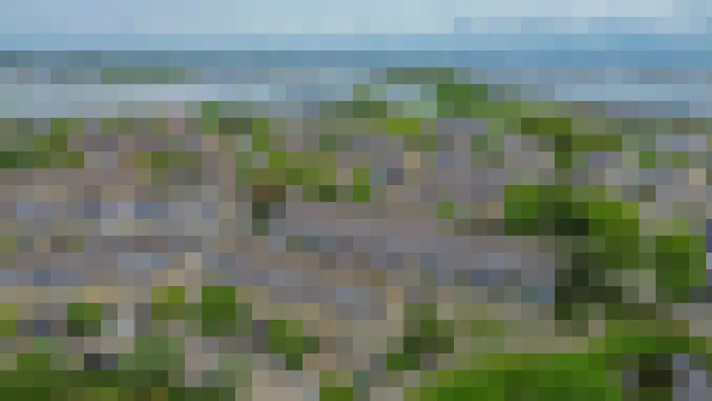Verdilaan 108 Monster thumbnail 48