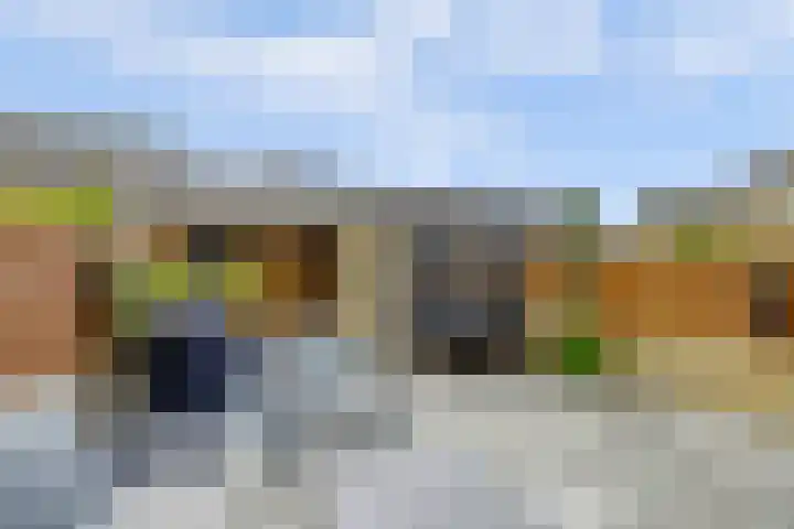 Verdilaan 118 Monster thumbnail 23
