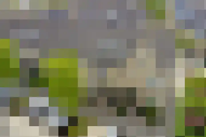 Verdilaan 118 Monster thumbnail 26
