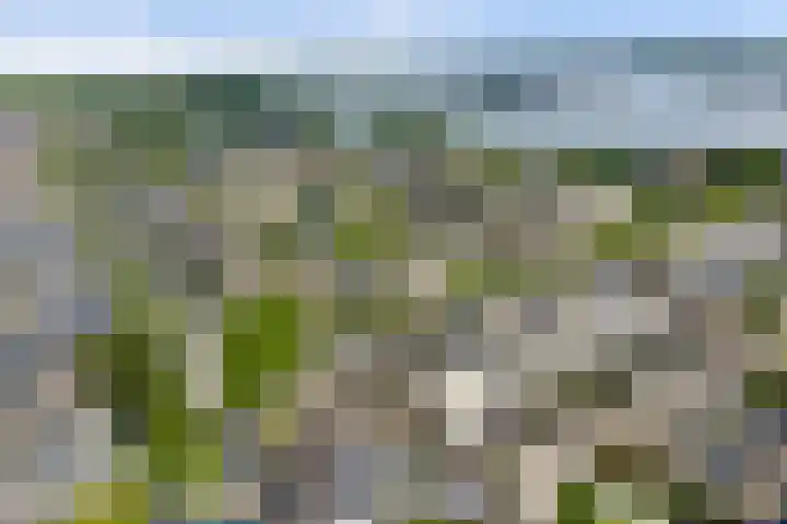 Verdilaan 118 Monster thumbnail 27
