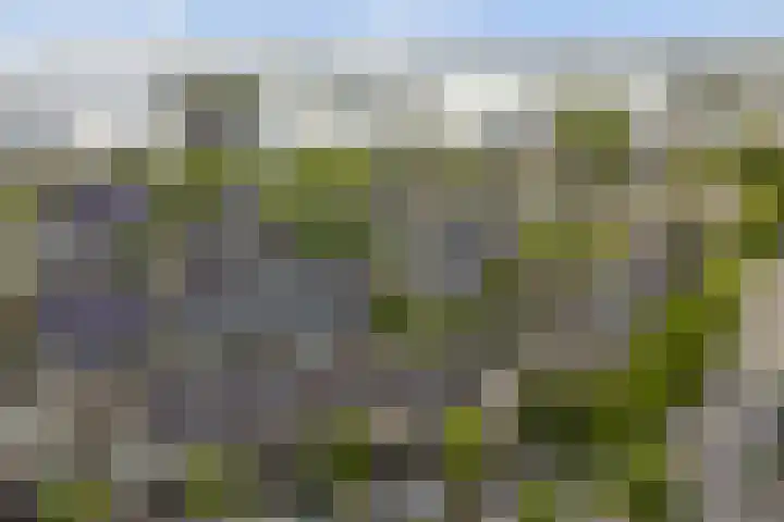 Verdilaan 118 Monster thumbnail 28