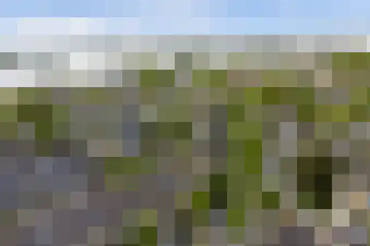 Verdilaan 118 Monster thumbnail 29