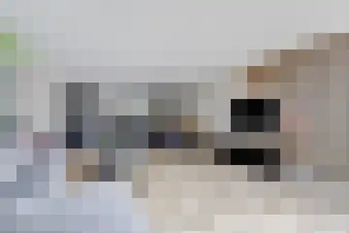 Verdilaan 118 Monster thumbnail 6