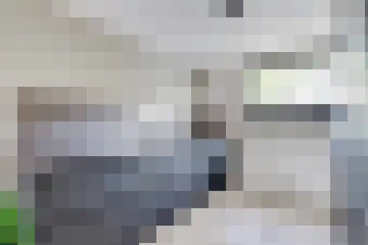 Verdilaan 118 Monster thumbnail 8
