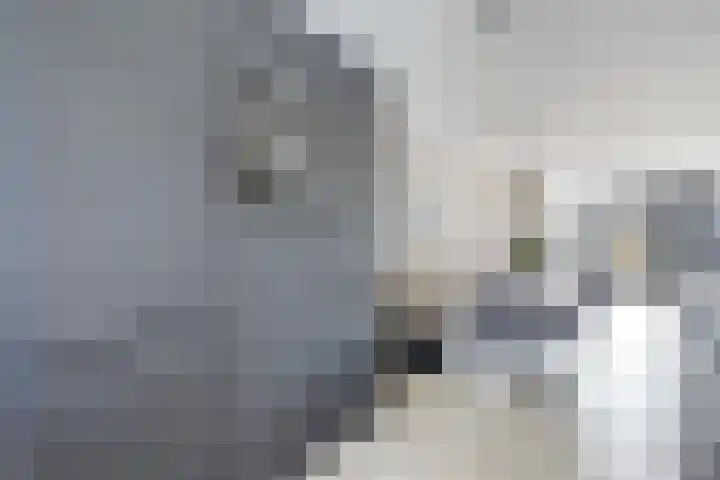 Verdilaan 118 Monster thumbnail 9