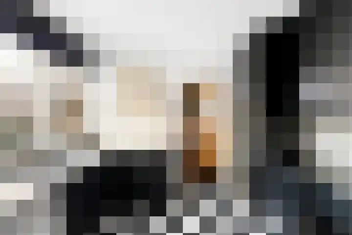 Verdilaan 12 Vlissingen thumbnail 15