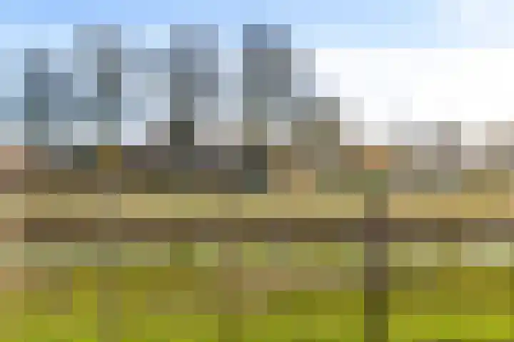Verdilaan 12 Vlissingen thumbnail 19