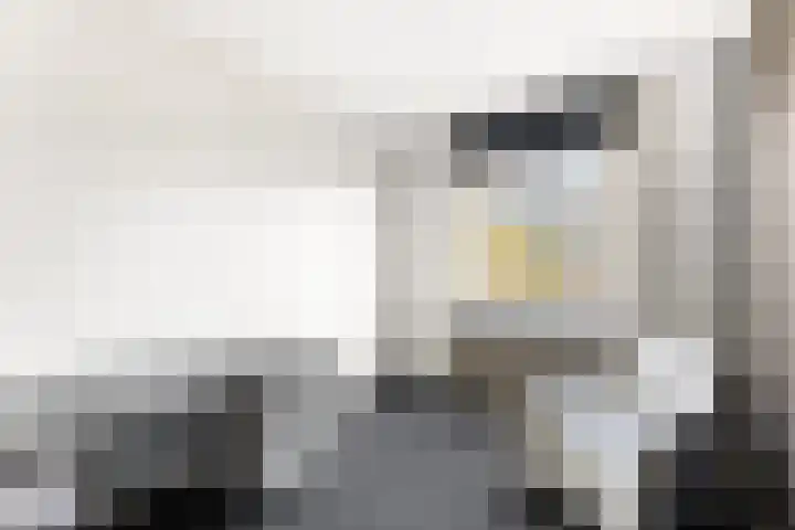 Verdilaan 12 Vlissingen thumbnail 31