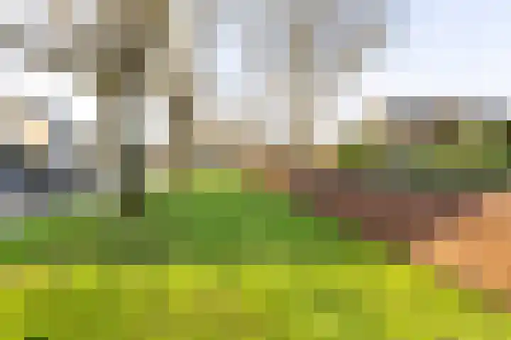 Verdilaan 12 Vlissingen thumbnail 35