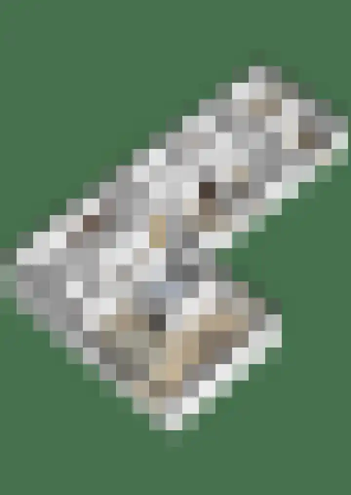Verdilaan 12 Vlissingen thumbnail 38