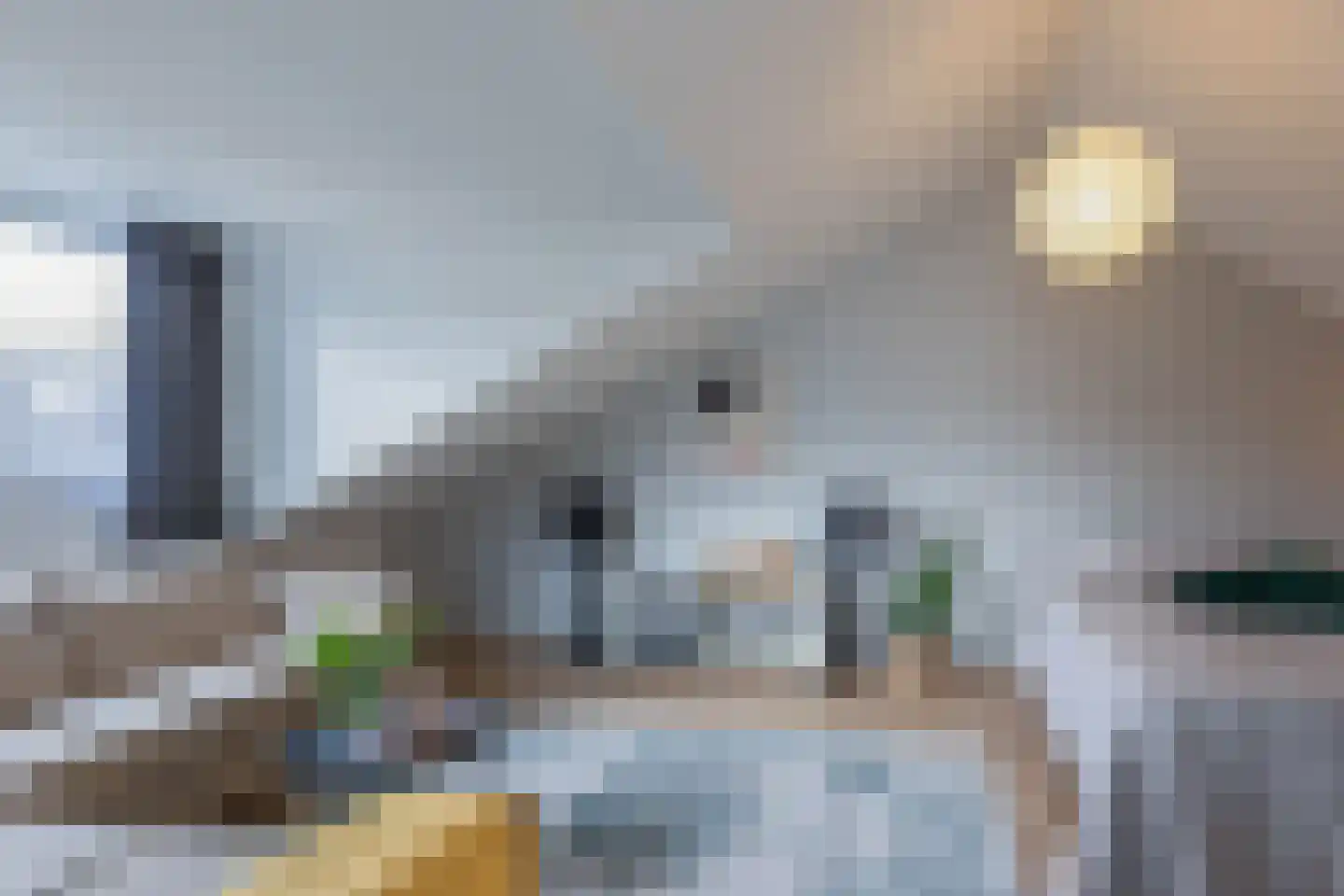 Verdilaan 12 Waalre thumbnail 31
