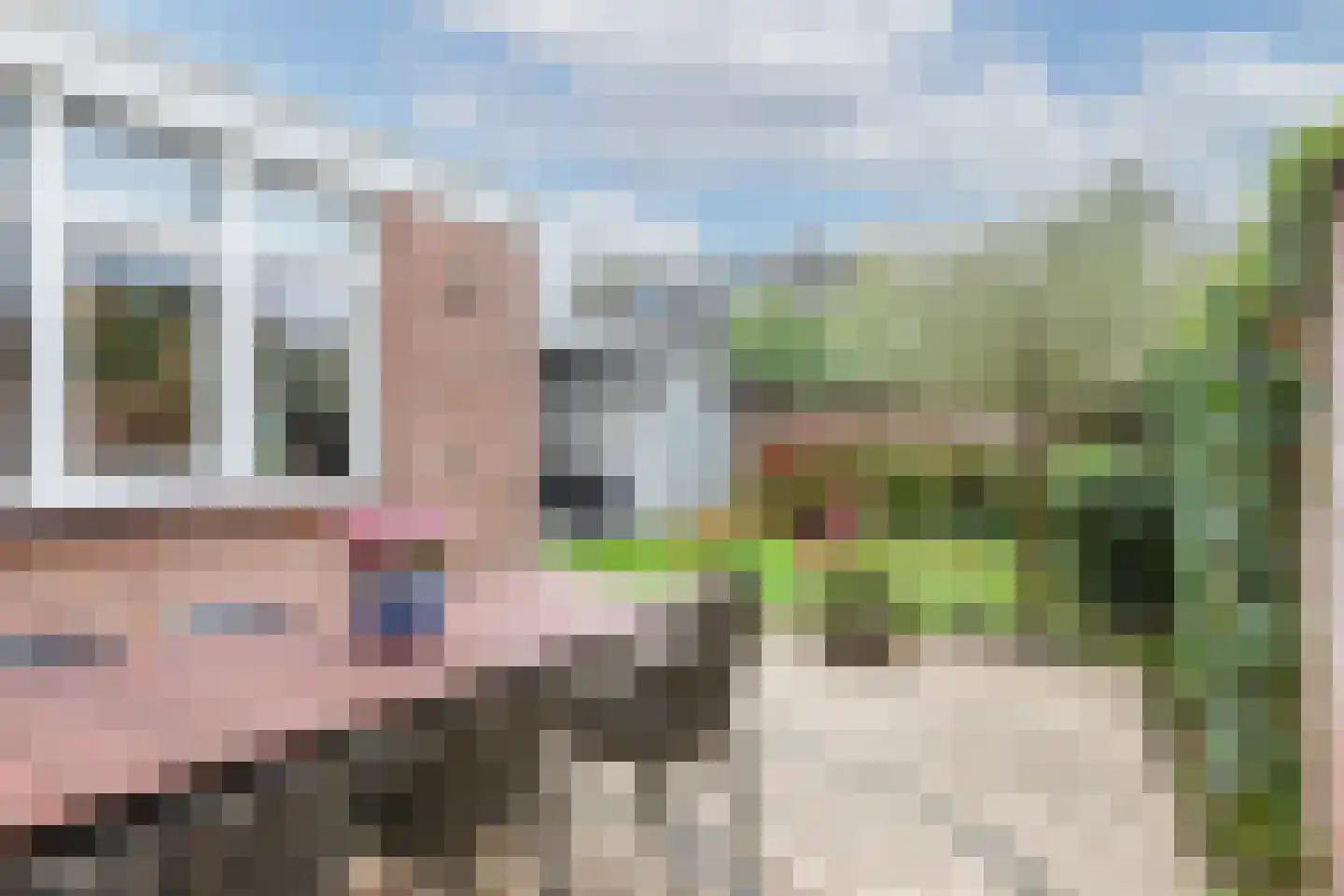 Verdilaan 12 Waalre thumbnail 34