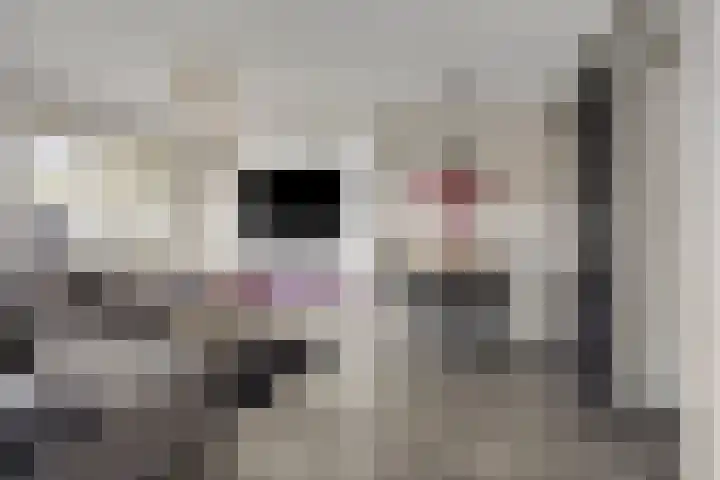 Verdilaan 127 Nieuw-Vennep foto 2