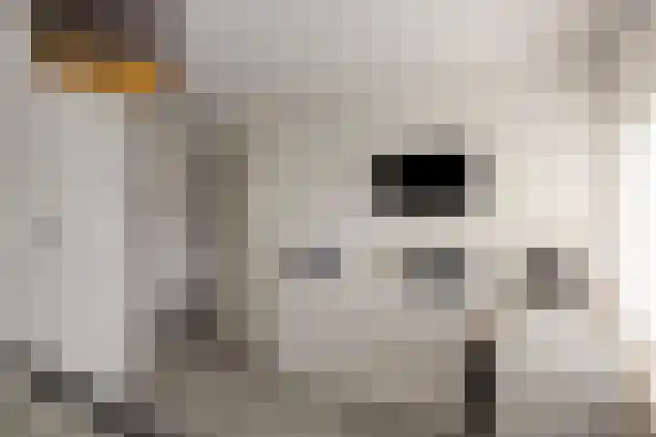Verdilaan 127 Nieuw-Vennep thumbnail 21