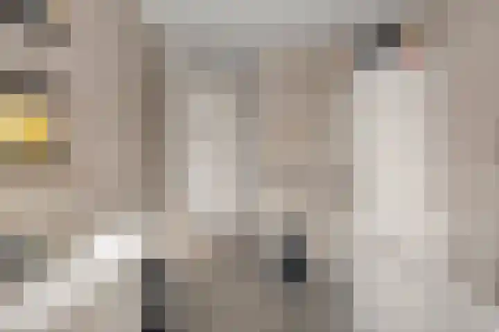 Verdilaan 127 Nieuw-Vennep thumbnail 23