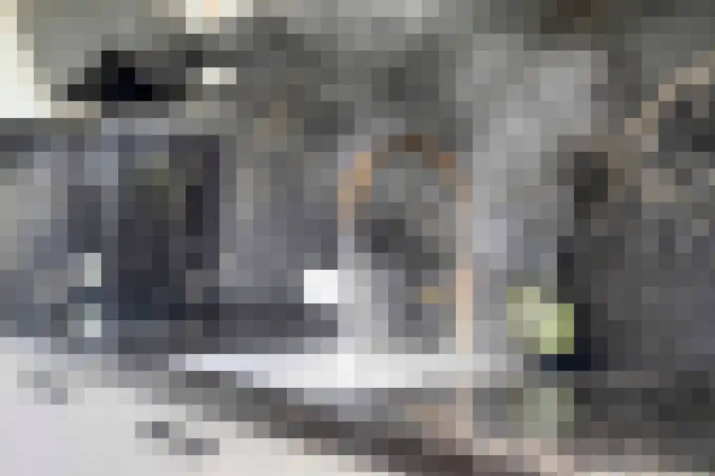 Verdilaan 17 Helmond thumbnail 17