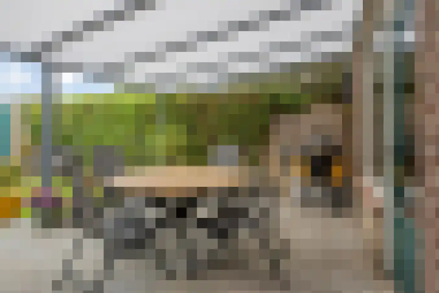 Verdilaan 17 Helmond thumbnail 36