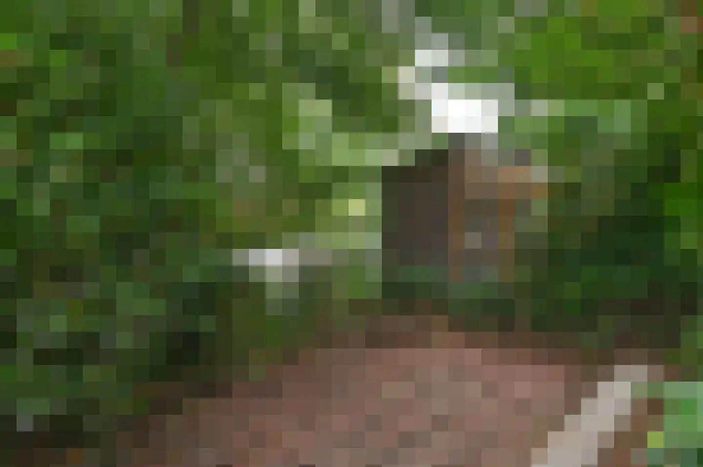 Verdilaan 21 Naarden thumbnail 20