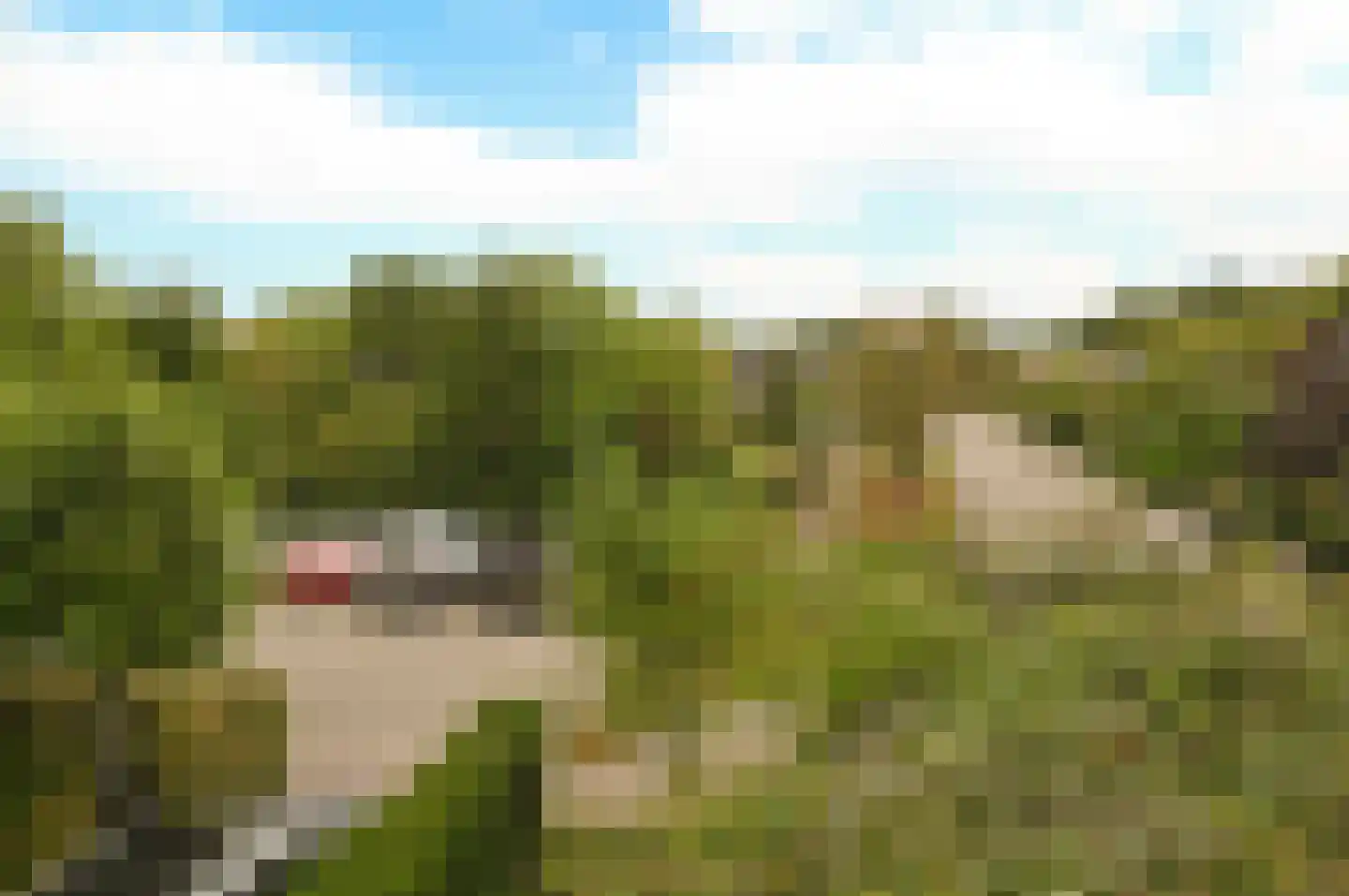 Verdilaan 21 Naarden thumbnail 22