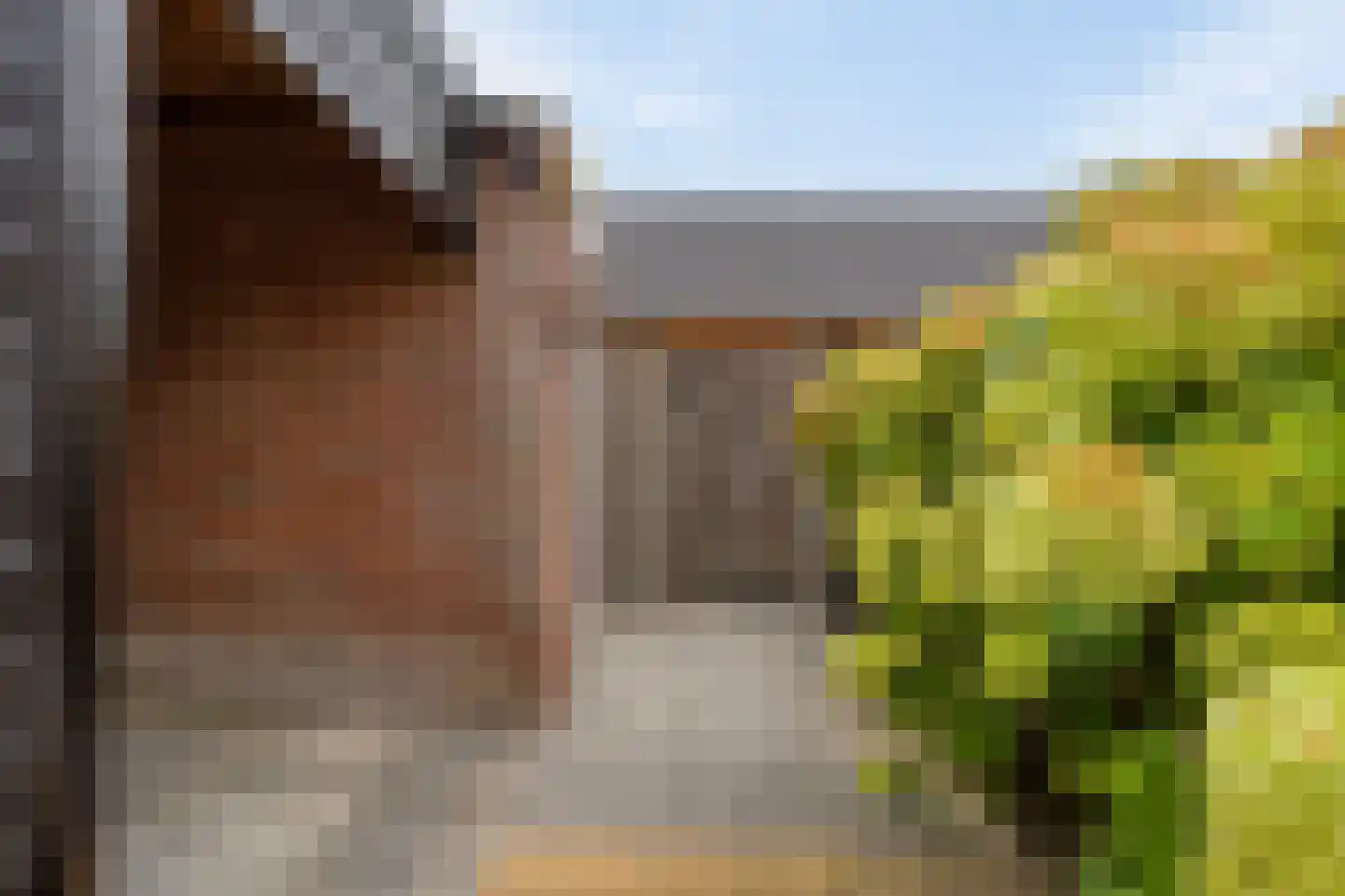 Verdilaan 22 Dirksland thumbnail 43