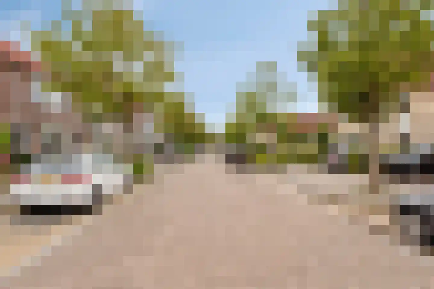 Verdilaan 22 Dirksland thumbnail 6