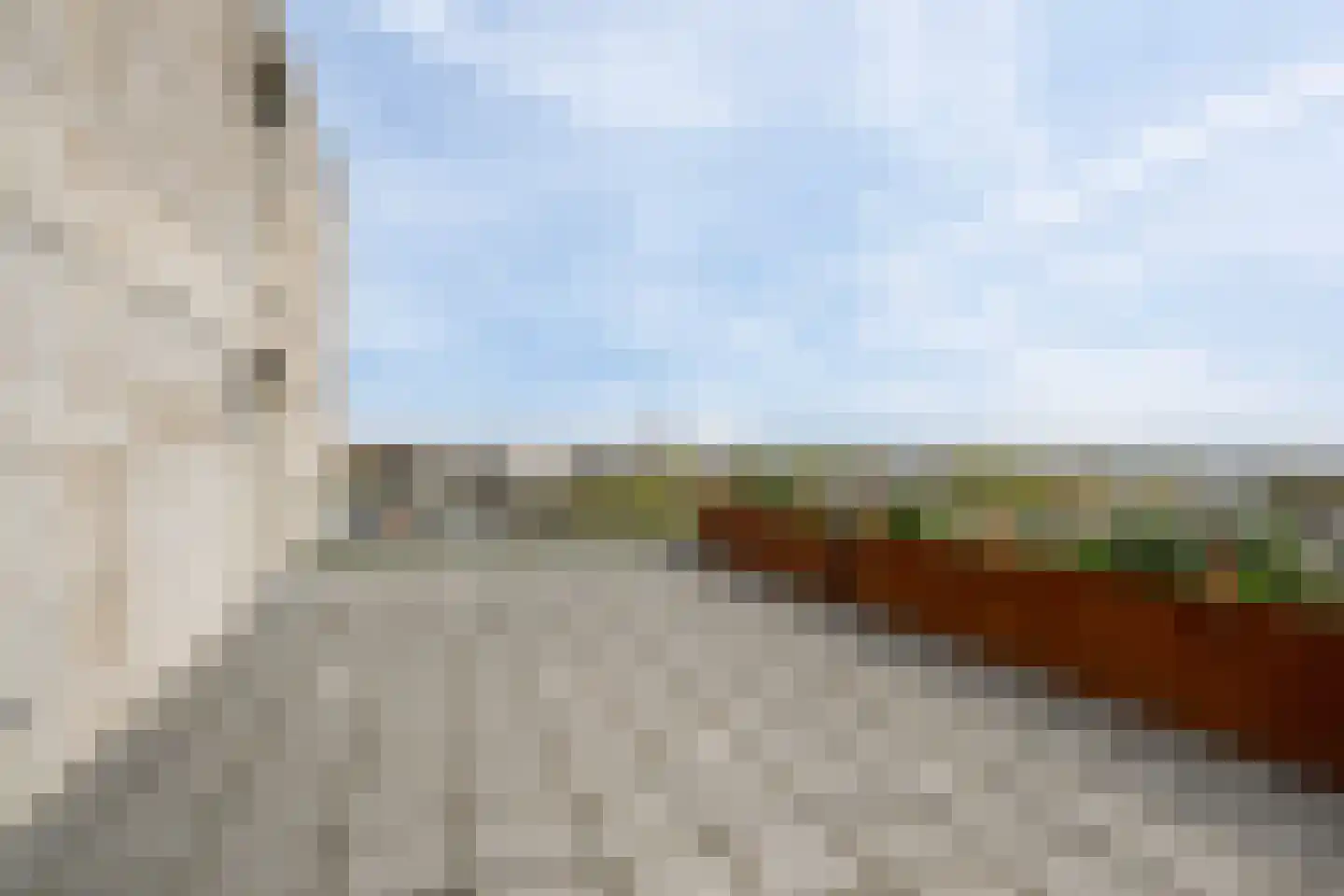 Verdilaan 23 A Naaldwijk thumbnail 35