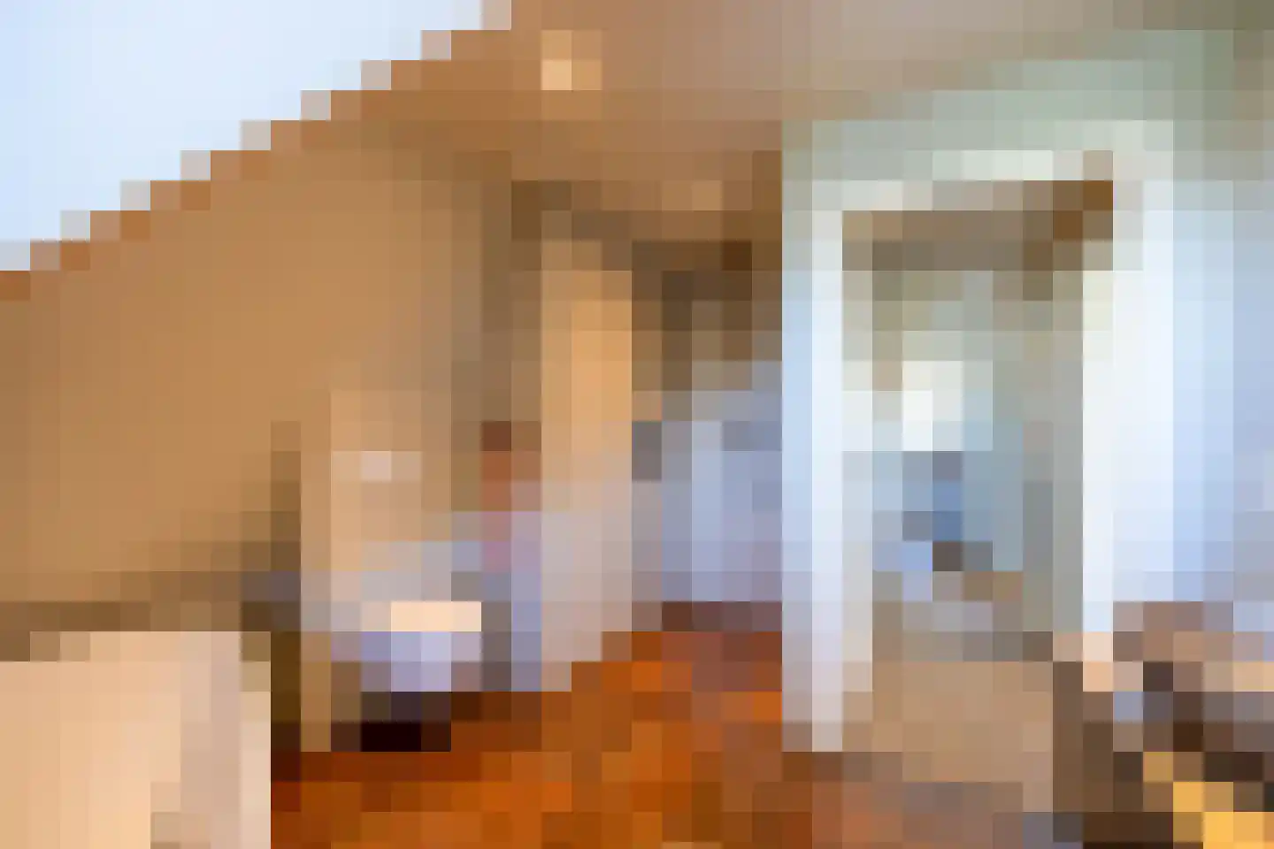Verdilaan 3 Huizen thumbnail 43