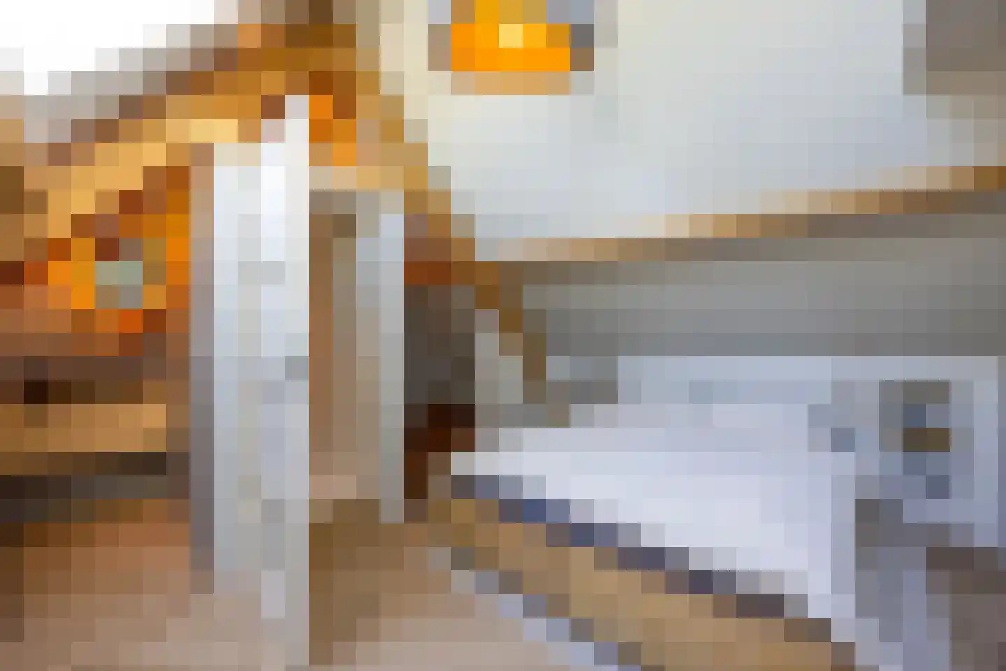 Verdilaan 3 Huizen thumbnail 50