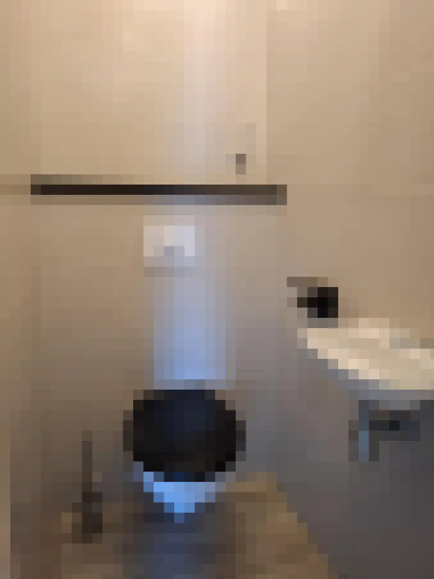Verdilaan 3 Spijkenisse thumbnail 4