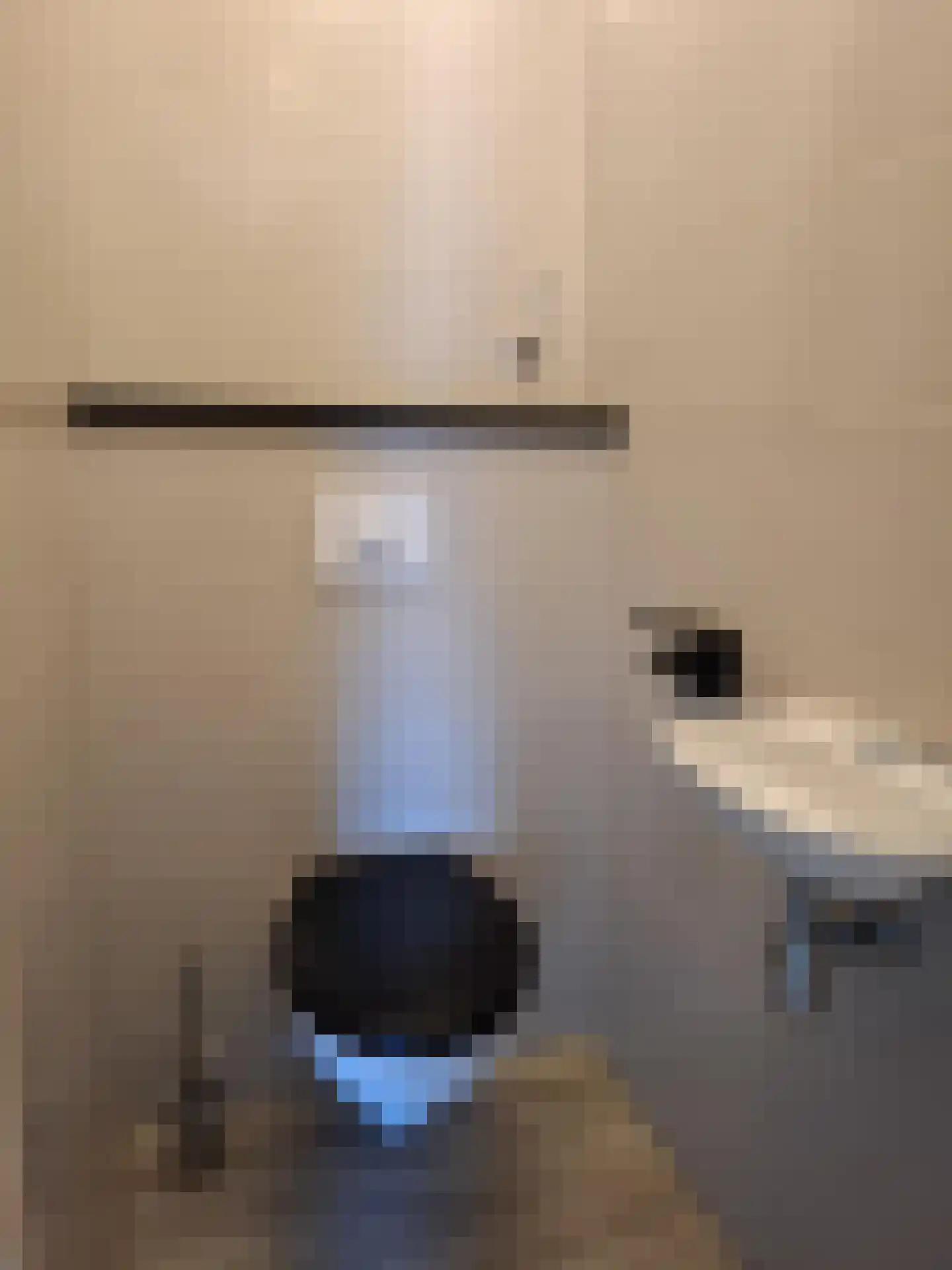 Verdilaan 3 Spijkenisse thumbnail 4
