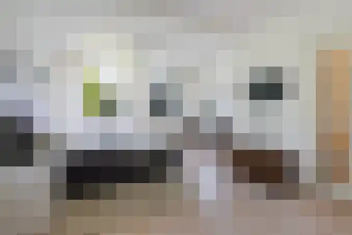 Verdilaan 30 Vlissingen thumbnail 18