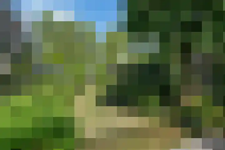 Verdilaan 30 Vlissingen thumbnail 26