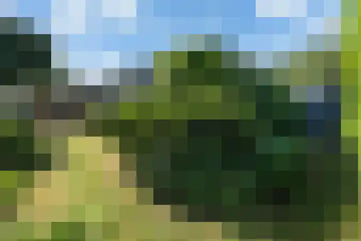 Verdilaan 30 Vlissingen thumbnail 27
