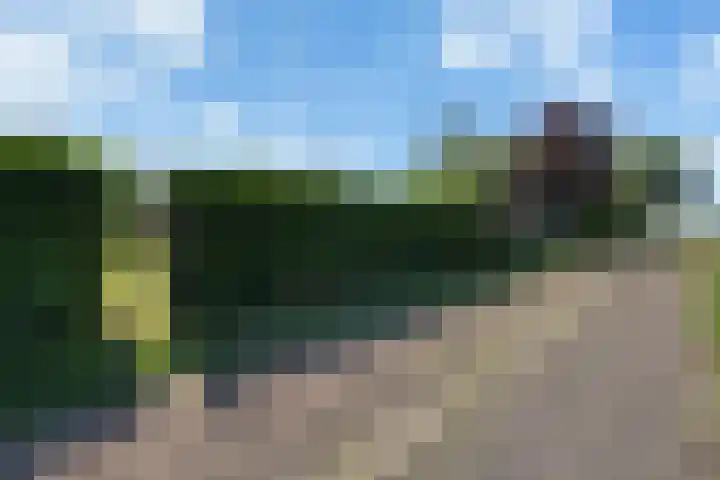Verdilaan 30 Vlissingen thumbnail 28