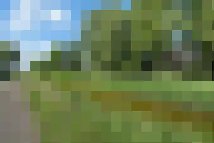Verdilaan 30 Vlissingen thumbnail 29