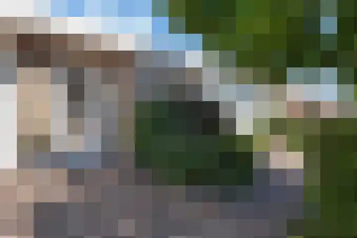 Verdilaan 30 Vlissingen thumbnail 4