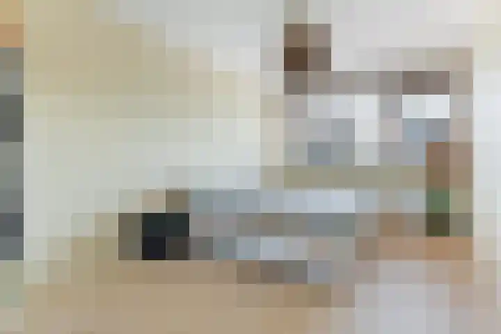 Verdilaan 40 Vlissingen thumbnail 17