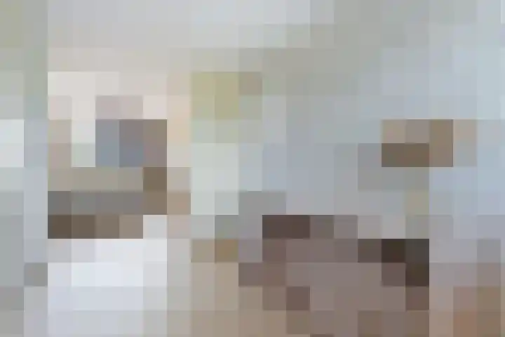 Verdilaan 40 Vlissingen thumbnail 20