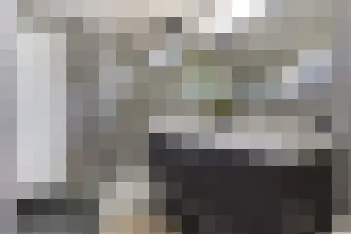 Verdilaan 40 Vlissingen thumbnail 23