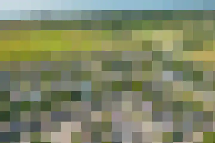 Verdilaan 40 Vlissingen thumbnail 42