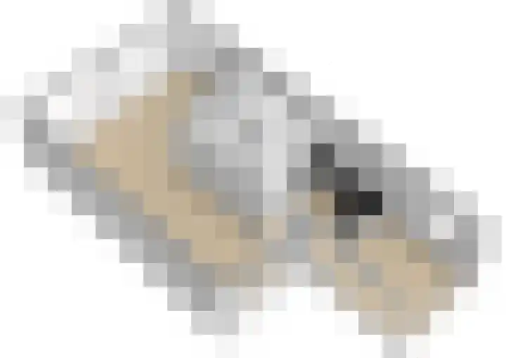 Verdilaan 40 Vlissingen thumbnail 47