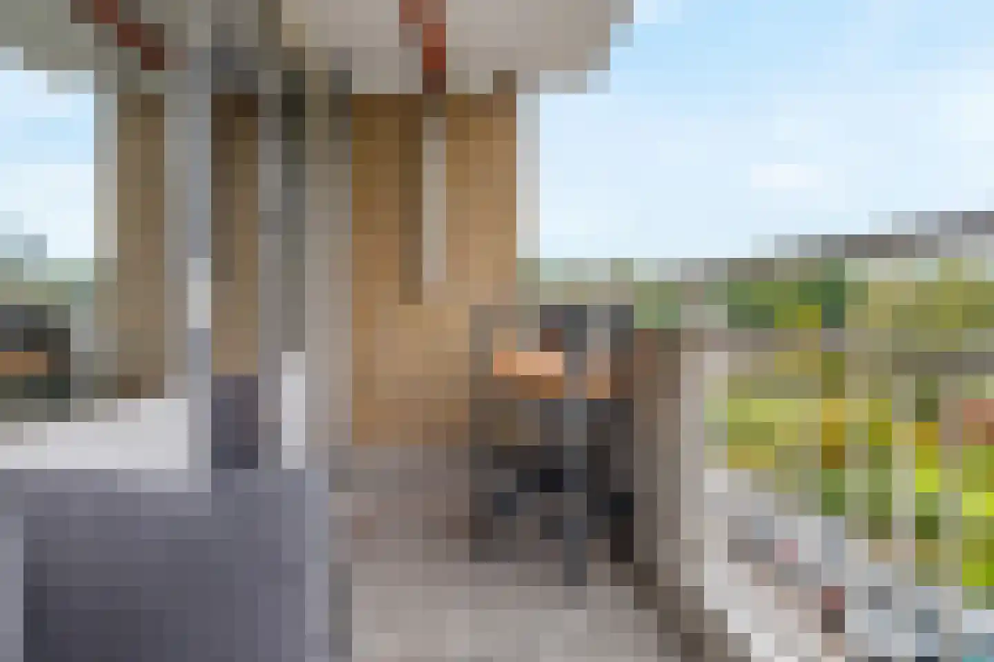 Verdilaan 43 Breda thumbnail 15