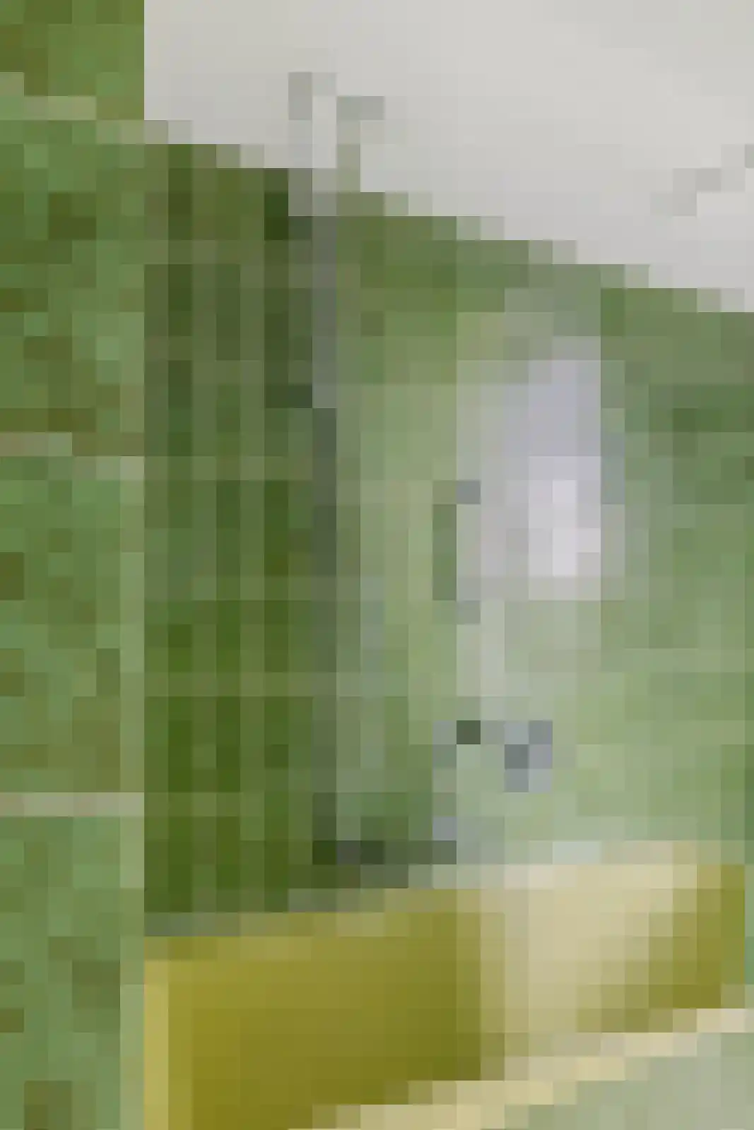 Verdilaan 43 Breda thumbnail 25